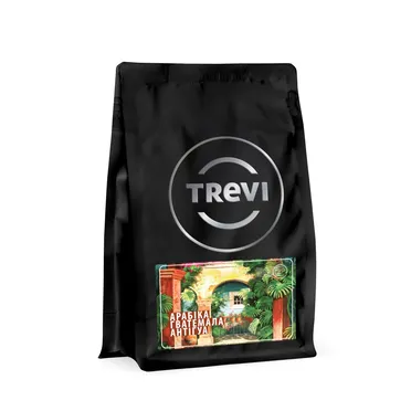 Кофе в зёрнах Trevi Арабика Гватемала Антигуа 250 г