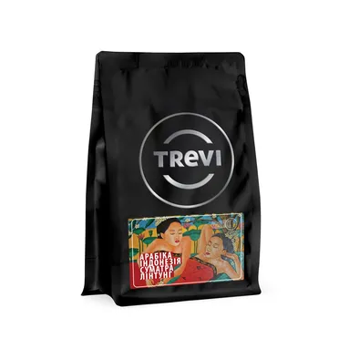 Кофе в зёрнах Trevi Арабика Индонезия Суматра Линтунг 250 г