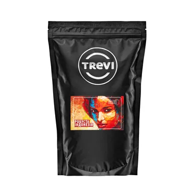 Кофе в зернах Trevi Робуста Индонезия 500 г