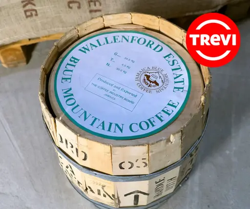 Кофе в зёрнах Trevi Арабика Blue Mountain 100 г