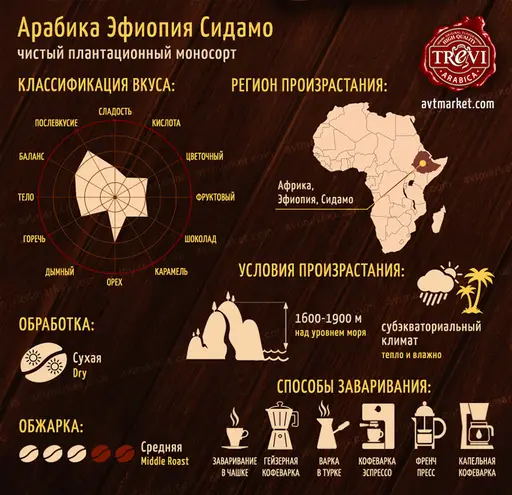 Кофе в зёрнах Trevi Арабика Эфиопия Сидамо Gr.2 (1 кг)