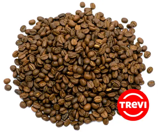 Кофе в зёрнах Trevi Арабика Танзания 500 г