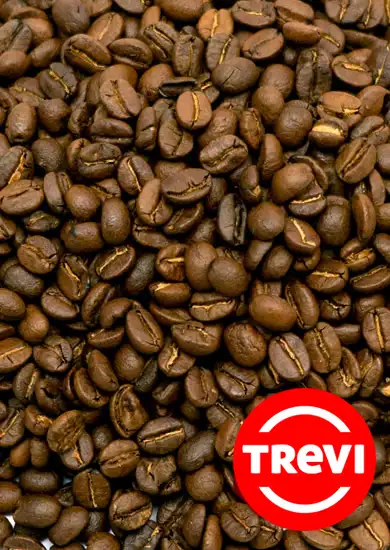 Кофе в зёрнах Trevi Робуста Вьетнам 1 кг