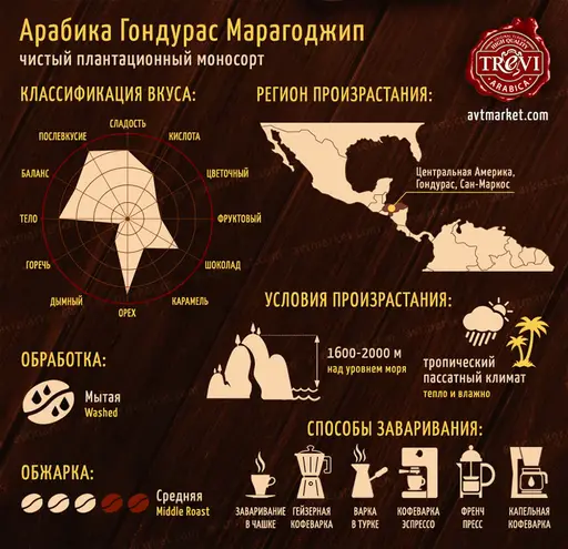 Кофе в зёрнах Trevi Арабика Гондурас Марагоджип 500 г
