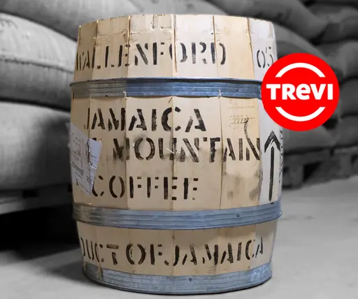 Кофе в зёрнах Trevi Арабика Blue Mountain 100 г