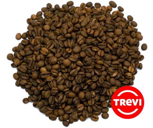 Кофе в зёрнах Trevi Арабика Mocha Yemen 100 г