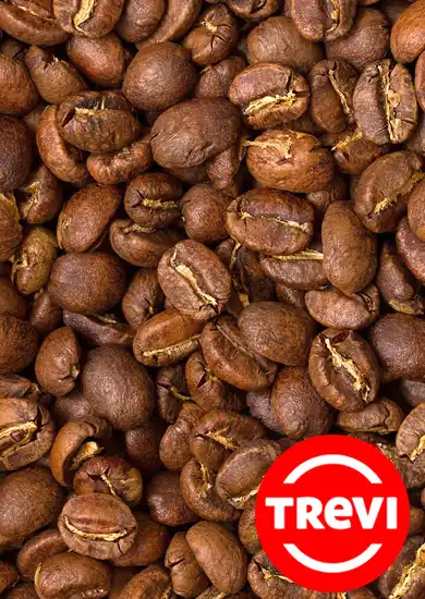 Кофе в зёрнах Trevi Арабика Бурунди 1 кг