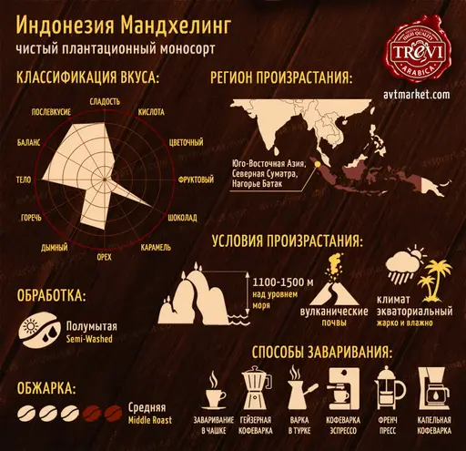 Кофе в зёрнах Trevi Арабика Индонезия Мадхендлинг 500 г