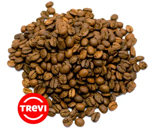 Кофе в зёрнах Trevi Арабика Гондурас Марагоджип 500 г