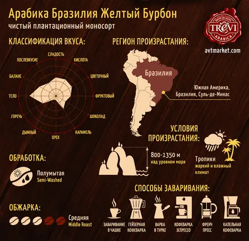 Кофе в зёрнах Trevi Арабика Бразилия Желтый Бурбон 500 г
