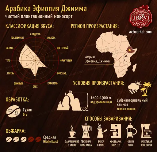 Кофе в зёрнах Trevi Арабика Эфиопия Джимма 500 г