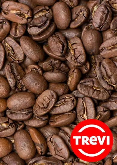 Кофе в зёрнах Trevi Арабика Колумбия Марагоджип 500 г