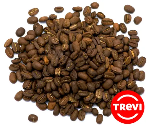 Кофе в зёрнах Trevi Арабика Kopi Luwak 100 г
