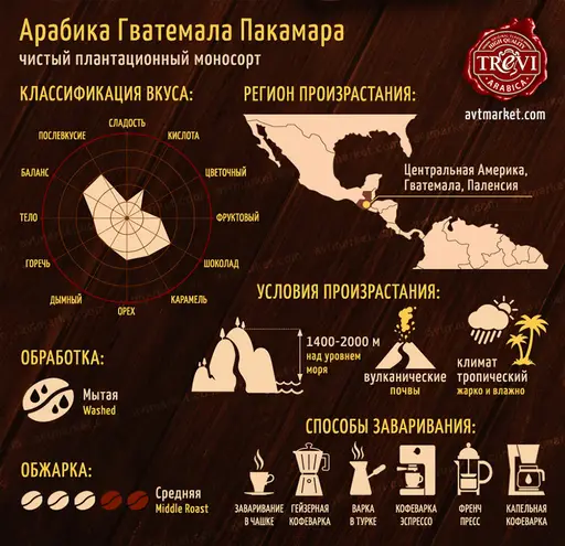 Кофе в зёрнах Trevi Арабика Гватемала Пакамара 500 г