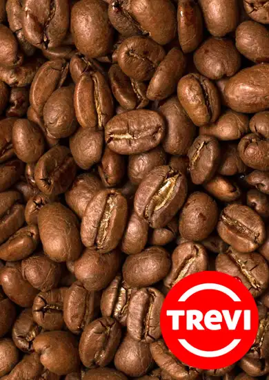 Кофе в зёрнах Trevi Арабика Гондурас 1 кг