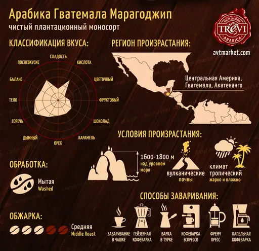 Кофе в зёрнах Trevi Арабика Гватемала Марагоджип 500 г