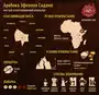 Кофе в зёрнах Trevi Арабика Эфиопия Сидамо Gr.2 (1 кг)