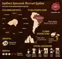 Кофе в зёрнах Trevi Арабика Бразилия Желтый Бурбон 500 г